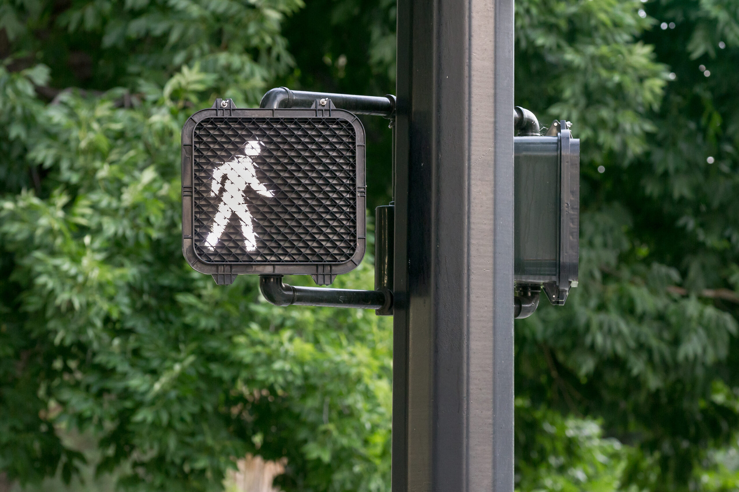 pedestrian traffic signals